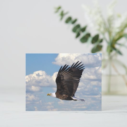 Eagle in het Sky Briefkaart (Staand voorkant)