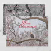 Eagle in sneeuwstorm vakantie Kaart (Voorkant / Achterkant)