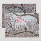 Eagle in Snowstorm Feestdagenkaart (Voorkant / Achterkant)