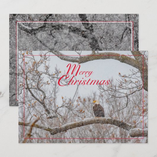 Eagle in Snowstorm Feestdagenkaart (Voorkant / Achterkant)
