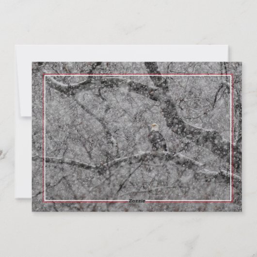 Eagle in Snowstorm Feestdagenkaart (Achterkant)