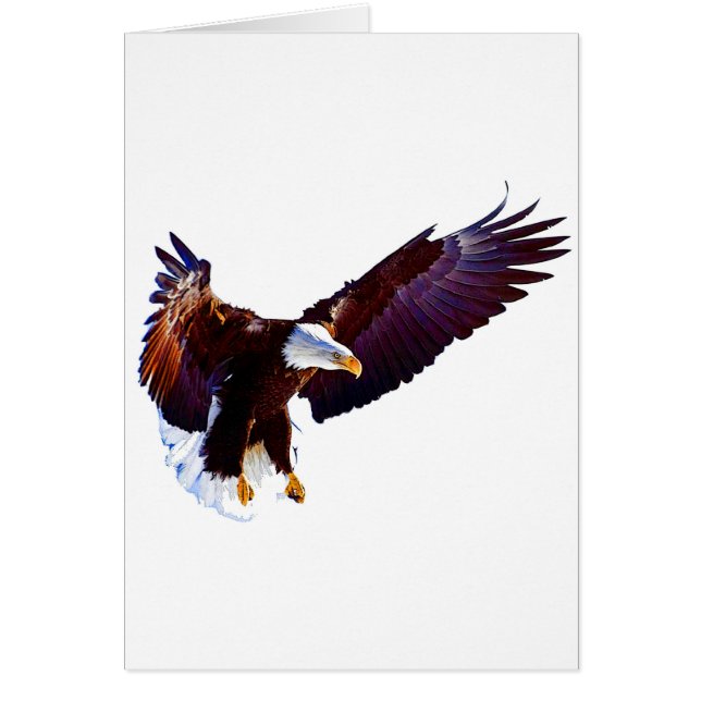 Eagle in vlucht (Voorkant)