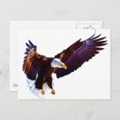 Eagle in vlucht briefkaart (Voorkant / Achterkant)