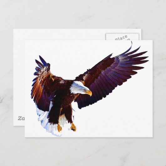 Eagle in vlucht briefkaart (Voorkant / Achterkant)