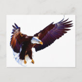 Eagle in vlucht briefkaart (Voorkant)