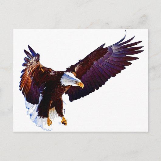 Eagle in vlucht briefkaart (Voorkant)