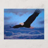Eagle in vlucht briefkaart (Voorkant)