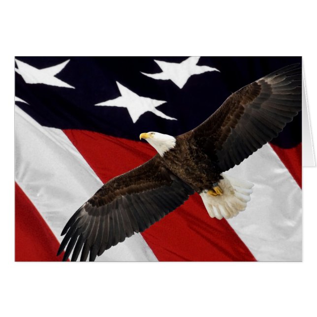 Eagle in vlucht over Amerikaanse vlag (Voorkant Horizontaal)