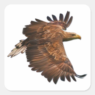 Eagle in vlucht set Square Stickers
