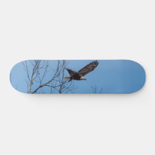 Eagle in vlucht skateboard