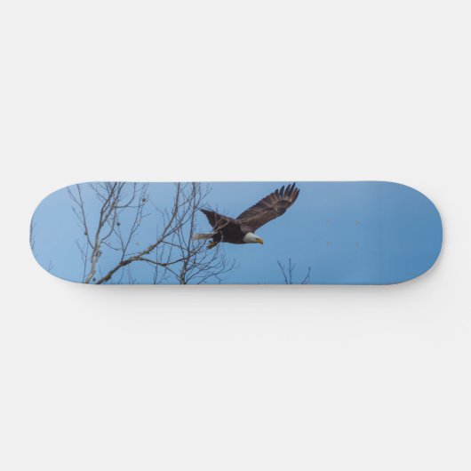 Eagle in vlucht skateboard (Horizontaal)