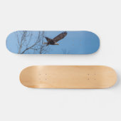 Eagle in vlucht skateboard (Horizontaal)