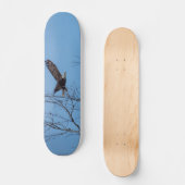Eagle in vlucht skateboard (Voorkant)