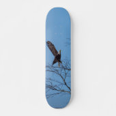 Eagle in vlucht skateboard (Voorkant)