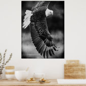 Eagle in vlucht zwart-wit poster (Keuken)