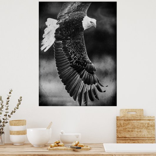 Eagle in vlucht zwart-wit poster (Keuken)