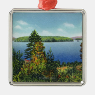 Eagle Island en Lower Saranac Lake Uitzicht Metalen Ornament