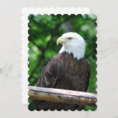 Eagle Kaart (Voorkant / Achterkant)