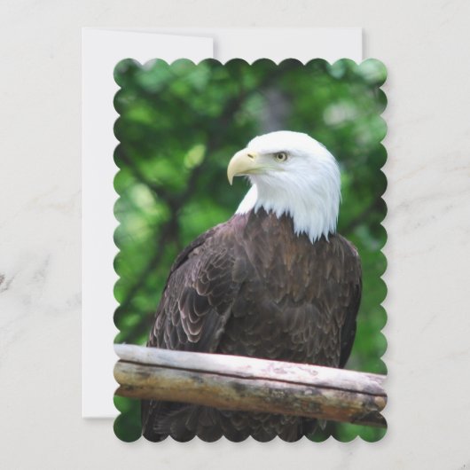 Eagle Kaart (Voorkant)