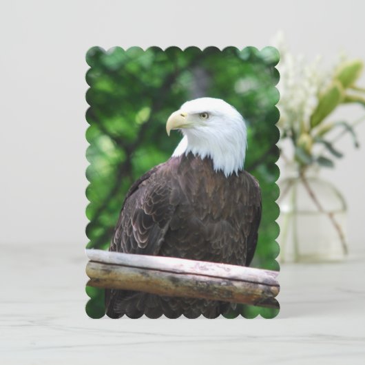 Eagle Kaart (Staand voorkant)