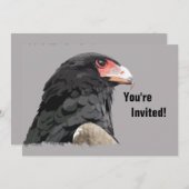 Eagle Kaart (Voorkant / Achterkant)