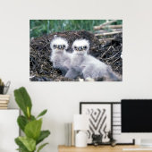 Eagle-kuikens van Bald Poster (Thuiskantoor)