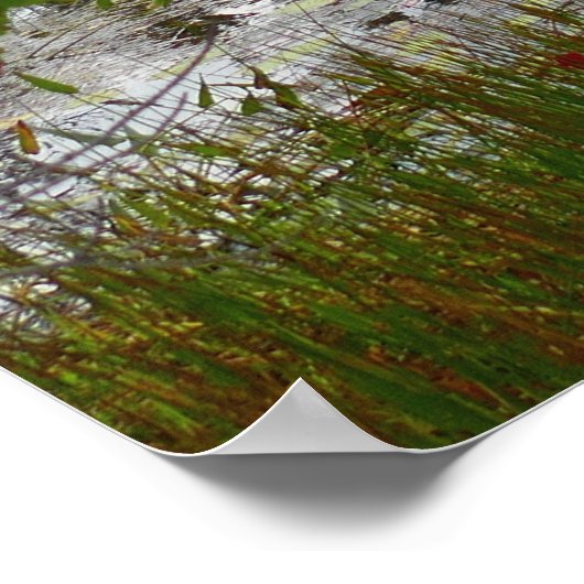 Eagle Lake en Red Maple Leaves II Poster (Hoek)