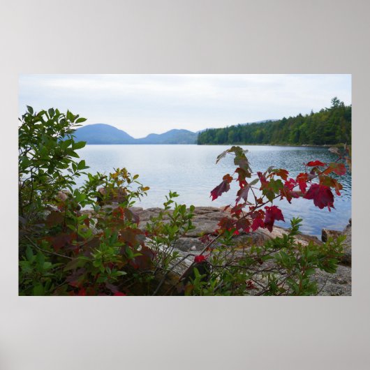 Eagle Lake en rode esdoornbladeren I Poster (Voorkant)