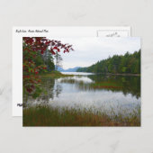Eagle Lake en rode esdoornbladeren II Briefkaart (Voorkant / Achterkant)