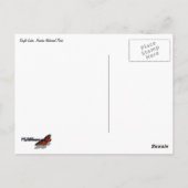 Eagle Lake en rode esdoornbladeren II Briefkaart (Achterkant)