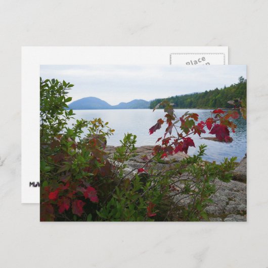 Eagle Lake en Rode Esdoringsbladeren Briefkaart (Voorkant / Achterkant)