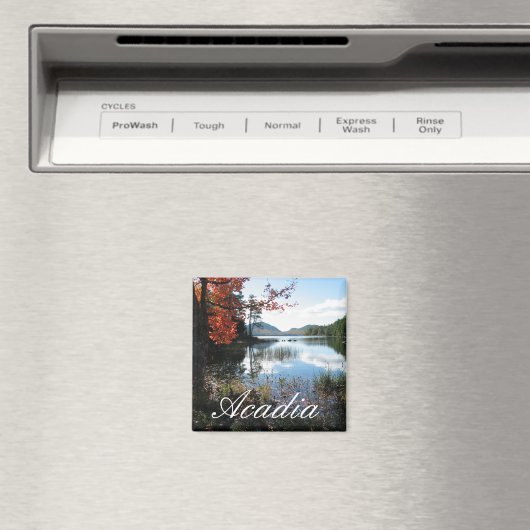 Eagle Lake, Herfst, Acadia National Park, Maine Magneet (Insitu (Vaatwasser))