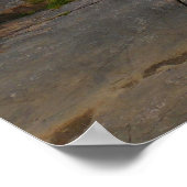 Eagle Lake in Acadia National Park Poster (Hoek)