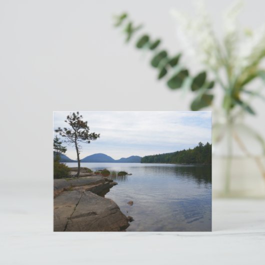 Eagle Lake in het Acadia National Park Briefkaart (Staand voorkant)