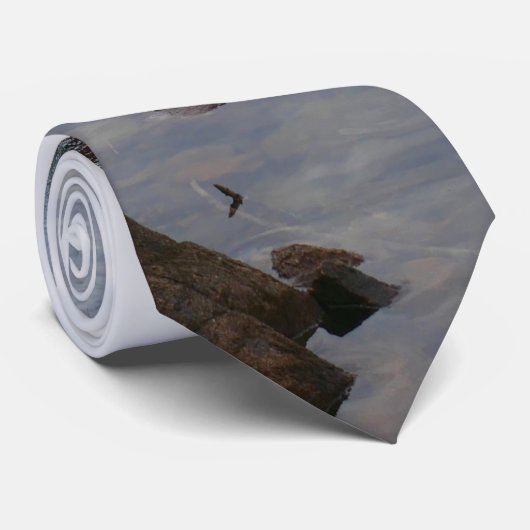 Eagle Lake in het Nationaal Park Acadia Stropdas (Opgerold)