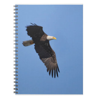 Eagle-laptop Notitieboek