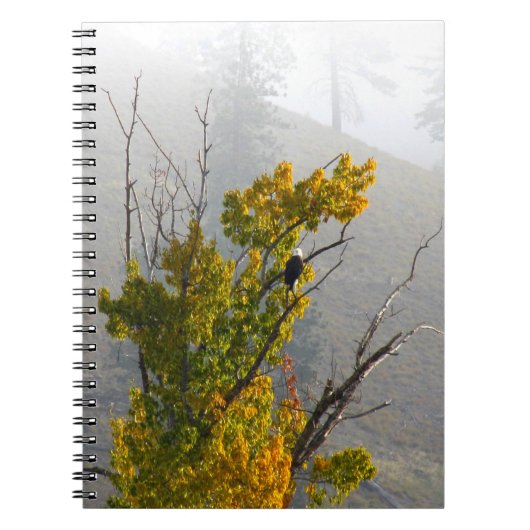 Eagle-laptop Notitieboek (Voorkant)