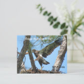 Eagle leert vliegen met het Briefkaart van Spiegel (Staand voorkant)