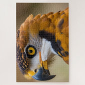 Eagle Legpuzzel (Verticaal)