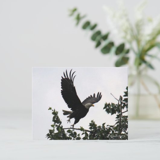 Eagle Lift Off Briefkaart (Staand voorkant)