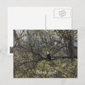 Eagle Lookout Schilderachtig Briefkaart (Voorkant / Achterkant)