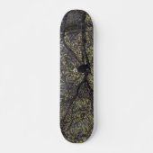 Eagle Lookout Schilderachtig Skateboard (Voorkant)