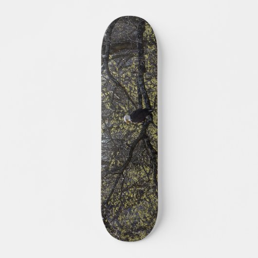 Eagle Lookout Schilderachtig Skateboard (Voorkant)
