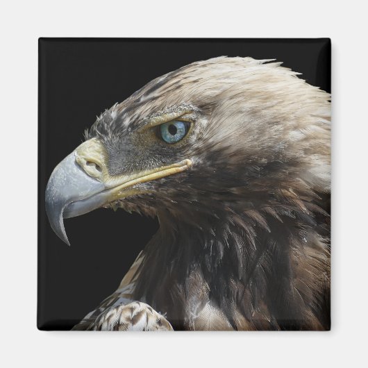 Eagle Magneet (Voorkant)
