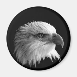 Eagle Magneet