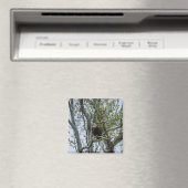 Eagle Magneet (Insitu (Vaatwasser))