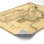 Eagle Map of the United States Poster (Hoek)