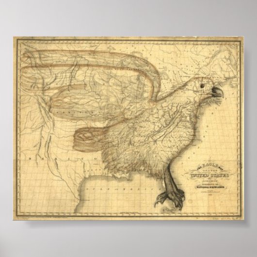 Eagle Map of the United States Poster (Voorkant)