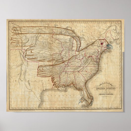 Eagle Map of the United States Poster (Voorkant)