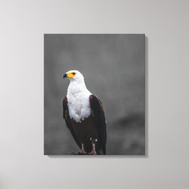 Eagle minimalistische selectieve kleurenfotografie canvas afdruk